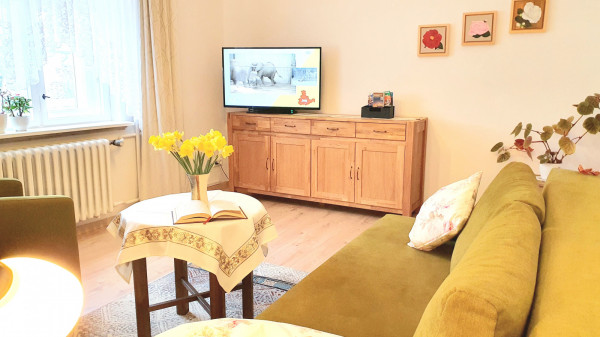 Wohnzimmer mit Sat-TV