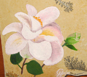 Magnoliaflora Kamelie auf Juramarmor